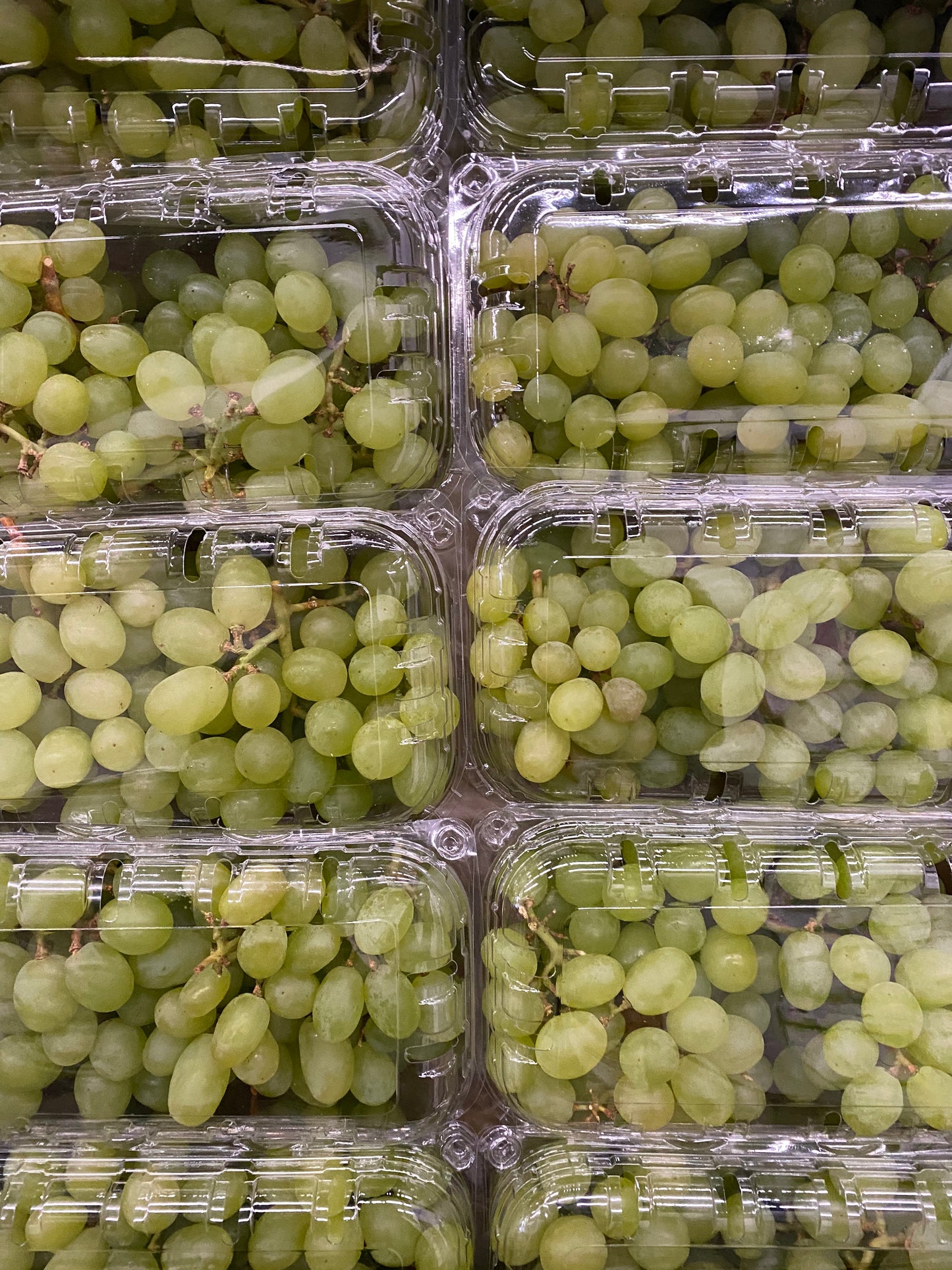 Seedless Grapes - White (500g pack)